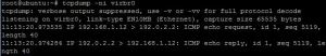 tcpdumpSuccessVibr0